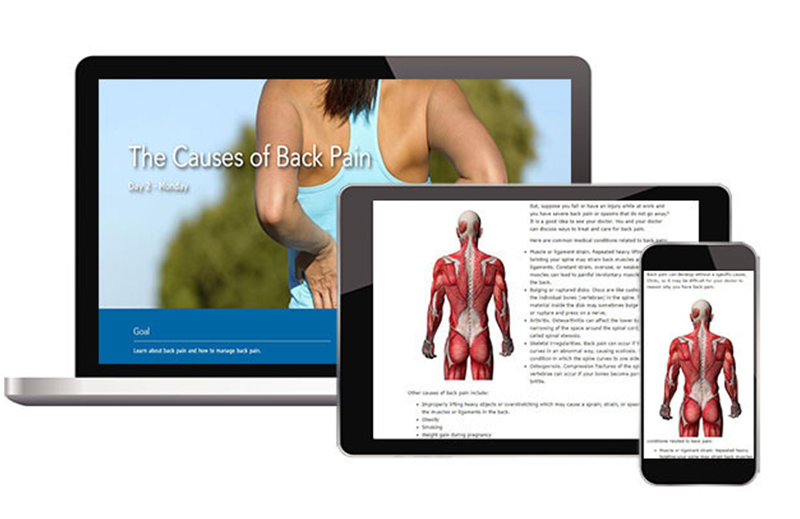 provant health website
