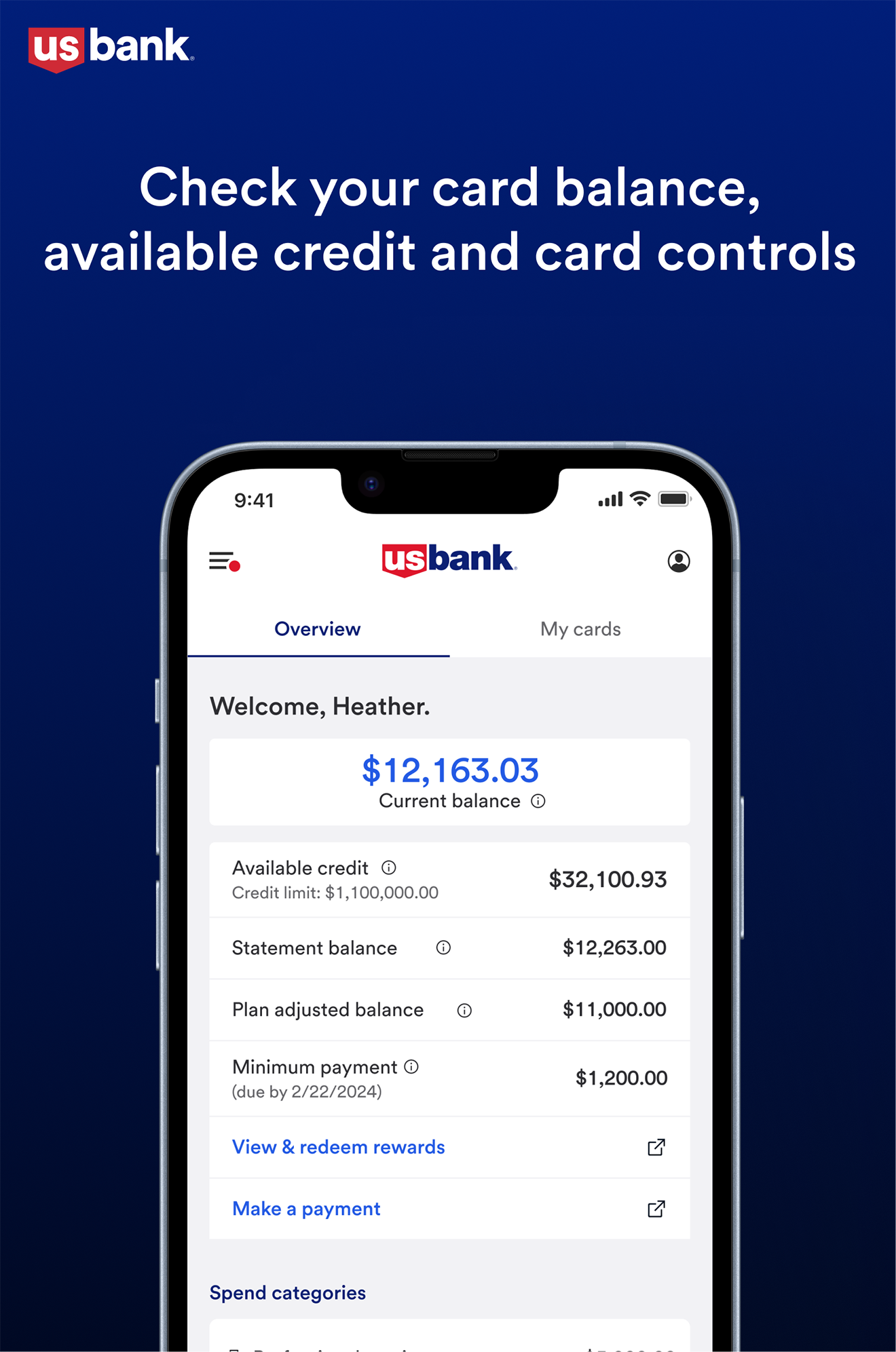 Card balance and controls